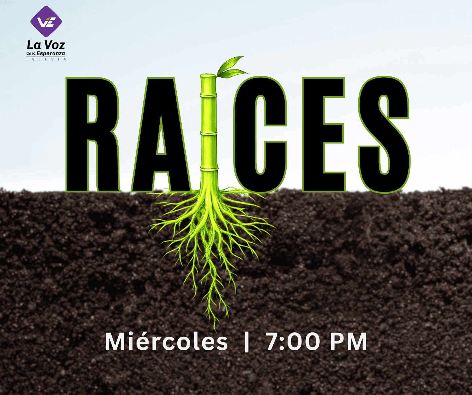 Estudio Bíblico Enero